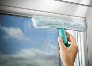 Myjka do szyb Window Washer